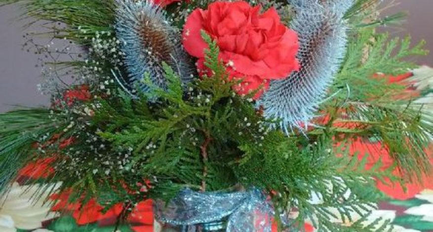 Photo illustration Christine Roberts photo